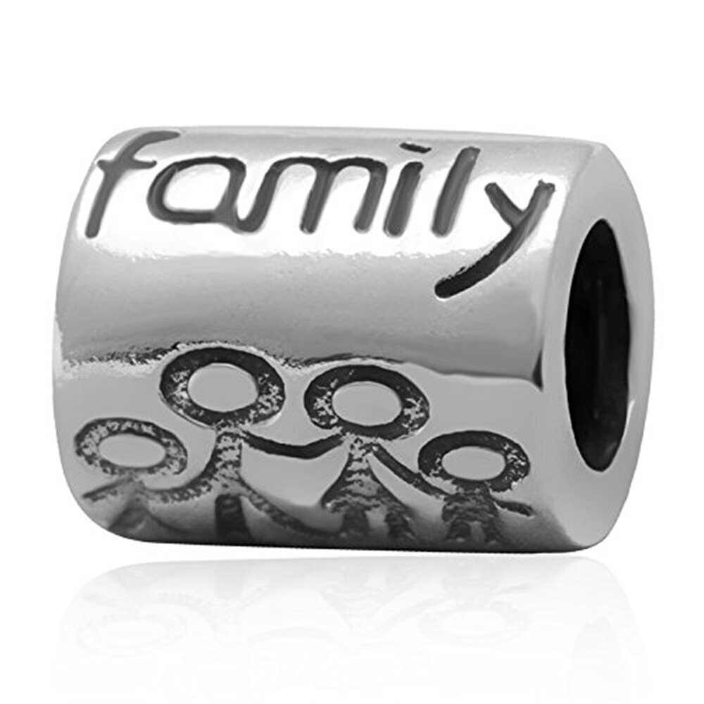 8626 LUCKYBEADS Letter Family Charm 925 Sterling Silver Family Together